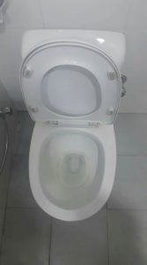 Toilet clogged
